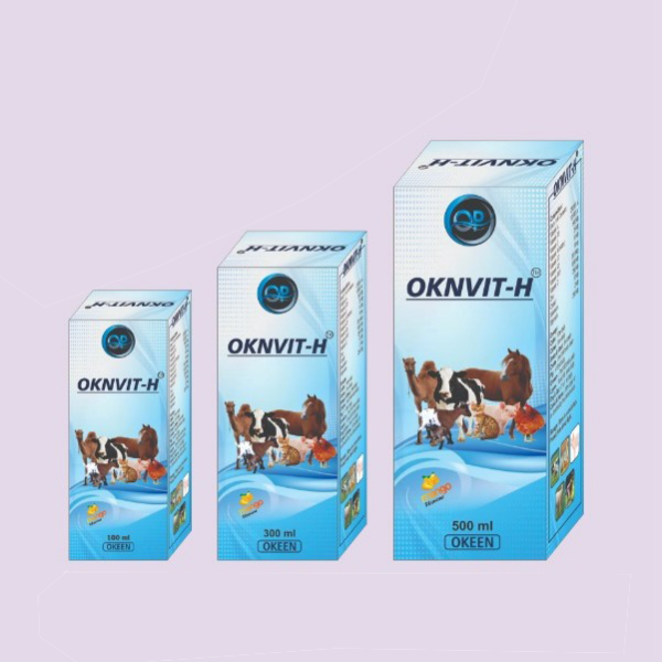 OKNVIT - H