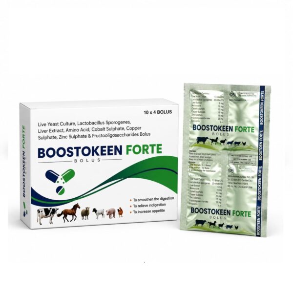 BOOSTKEEN FORTE